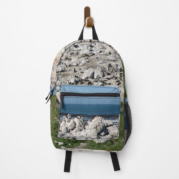 Item preview, African Penguin Colony Boulders Beach, Cape Town, South Africa designed and sold by worldways.