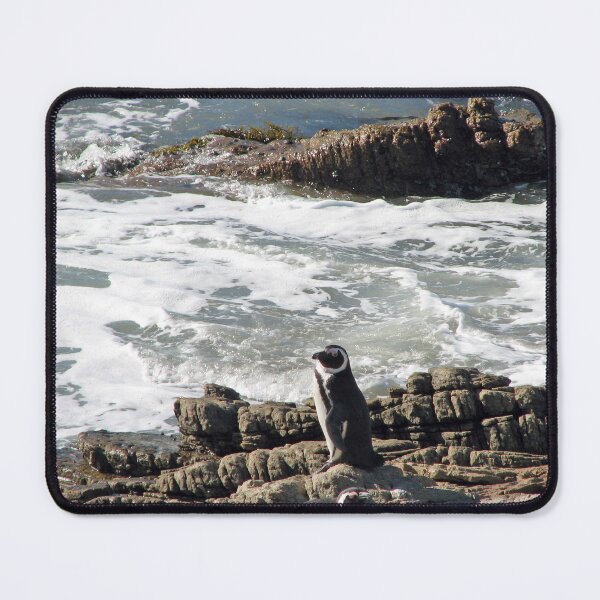 Item preview, African Penguin at Boulders Beach, Cape Town, South Africa designed and sold by worldways.