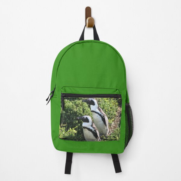 Item preview, Two African Penguins Hiking Boulders Beach, Cape Town, South Africa designed and sold by worldways.