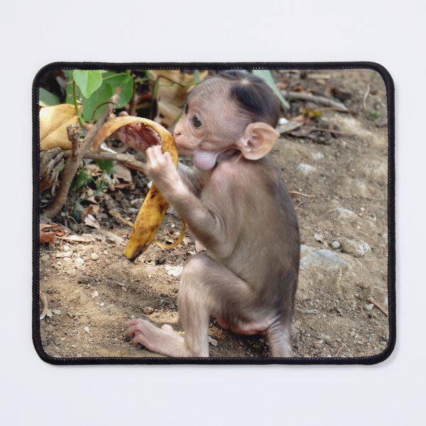 Item preview, Baby Monkey designed and sold by Birgit Moldenhauer.