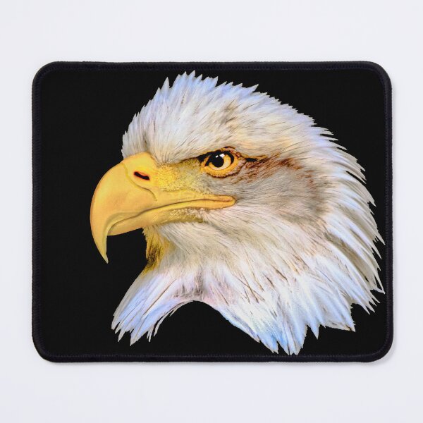 Item preview, Bald Eagle Head designed and sold by Dalyndigital Photography.