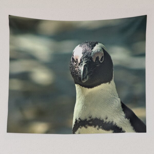 Item preview, Cape Town Penguin Closeup Portrait designed and sold by worldways.