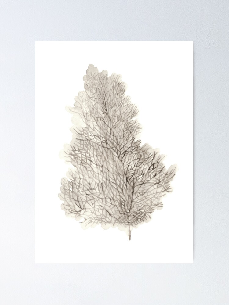 "Coral Art Print Abstract Wall Decor Watercolor Painting" Poster for