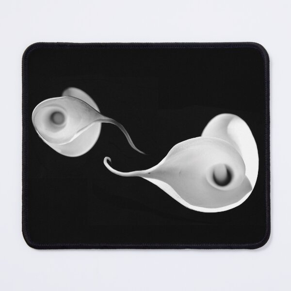Item preview, coves designed and sold by iago rodriguez dopico.