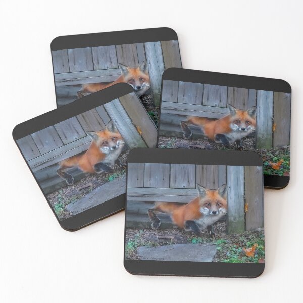 Item preview, Caught in the Act Red Fox designed and sold by Annariaart.