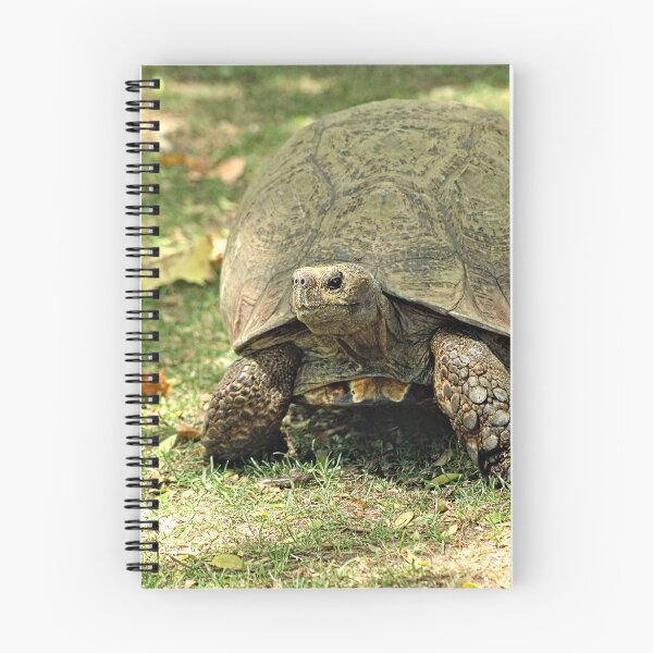 Item preview, Giant Turtle Walking Portrait designed and sold by worldways.