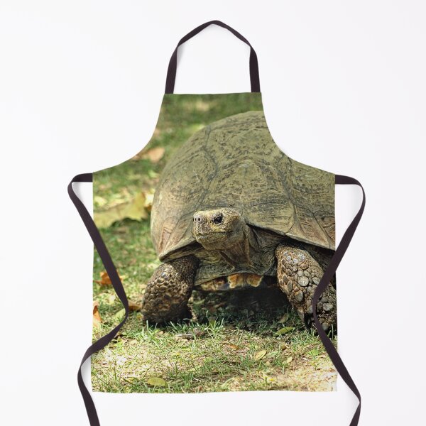 Item preview, Giant Turtle Walking Portrait designed and sold by worldways.