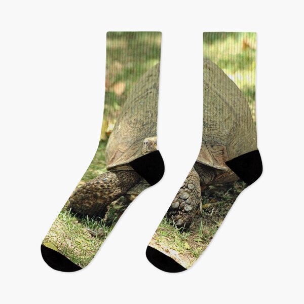 Item preview, Giant Turtle Walking Portrait designed and sold by worldways.