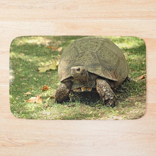 Item preview, Giant Turtle Walking Portrait designed and sold by worldways.