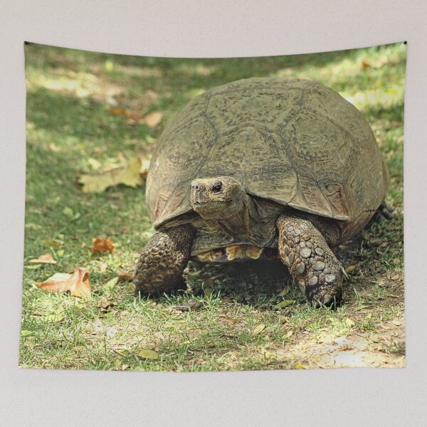Item preview, Giant Turtle Walking Portrait designed and sold by worldways.