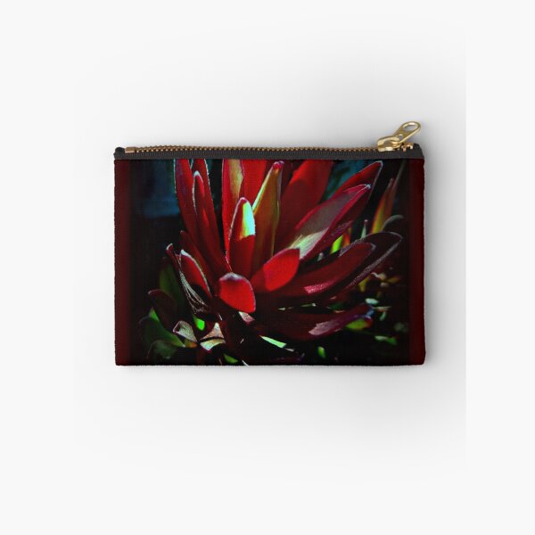 Item preview, #leucadendron designed and sold by DMEIERS.