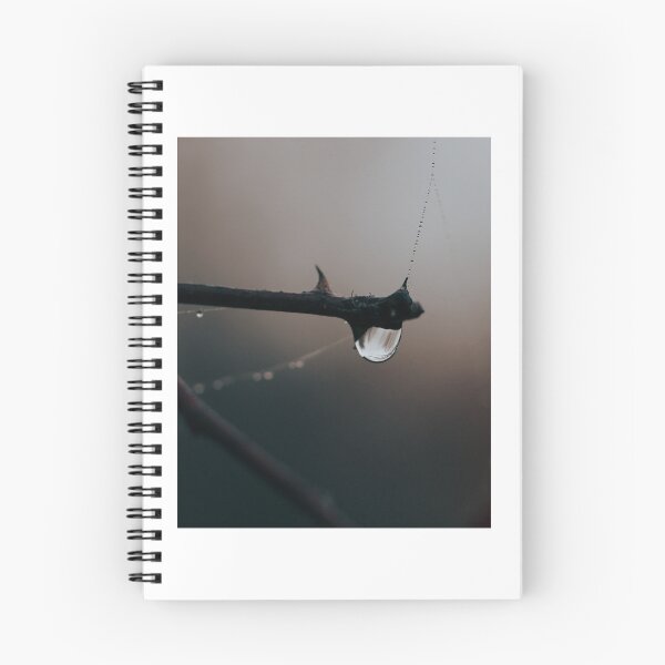 Item preview, Drops of water on the branch designed and sold by Pietschi2022.