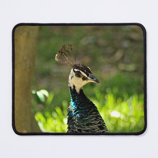 Item preview, Peacock Hen Indian Bird in a Garden designed and sold by worldways.