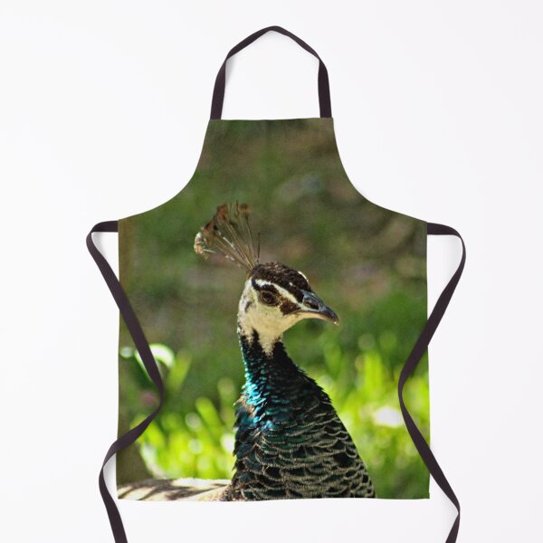 Item preview, Peacock Hen Indian Bird in a Garden designed and sold by worldways.