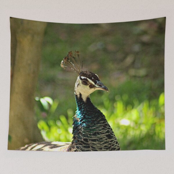 Item preview, Peacock Hen Indian Bird in a Garden designed and sold by worldways.