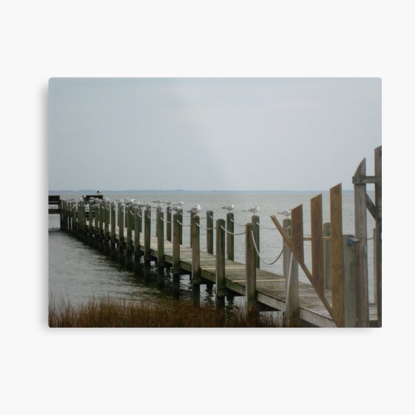 Just Chillin' Metal Print