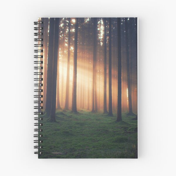 Item preview, forest clearing designed and sold by Pietschi2022.