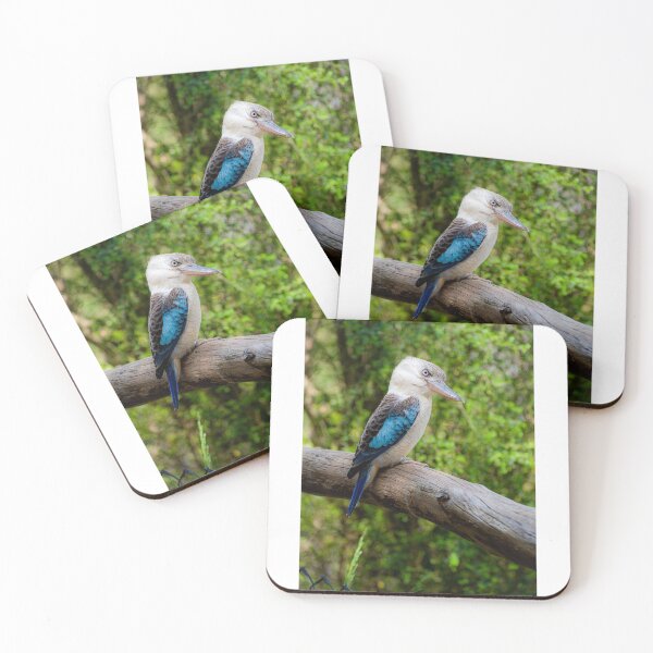 Item preview, Blue winged Kookaburra #2 designed and sold by PVphotography.