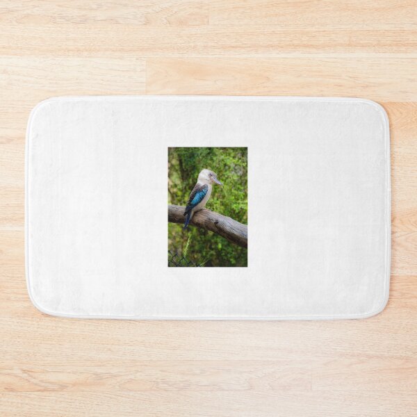 Item preview, Blue winged Kookaburra #2 designed and sold by PVphotography.