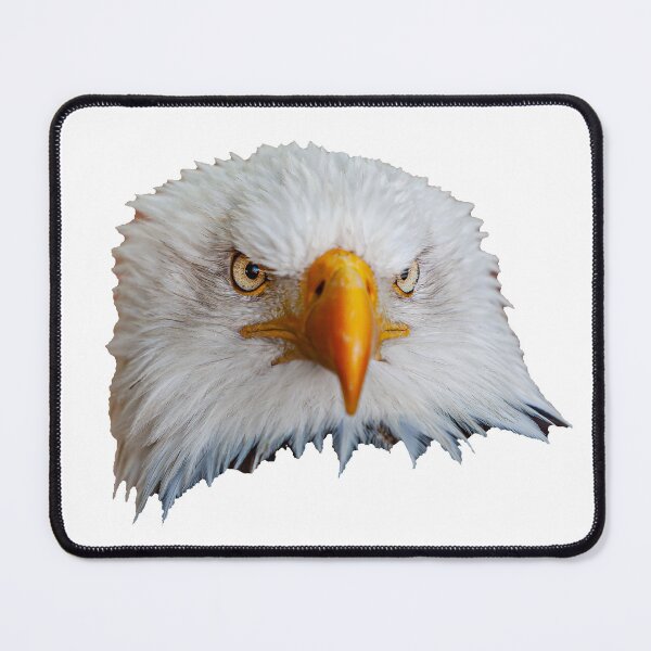 Item preview, Bald Eagle Just Looking! designed and sold by Dalyndigital Photography.