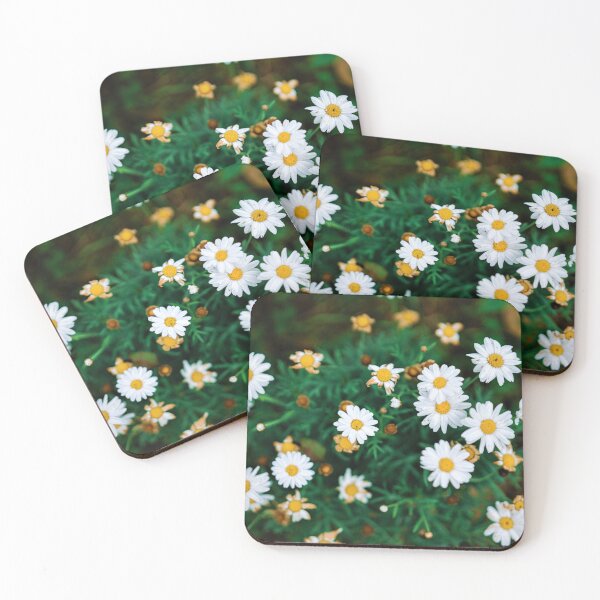 Aperçu de l'œuvre Camomille mignonne. Fleurs blanches dans le jardin créée et vendue par PureCanvas.