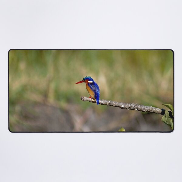 Item preview, African Kingfisher Colorful Bird Perched on Branch designed and sold by worldways.