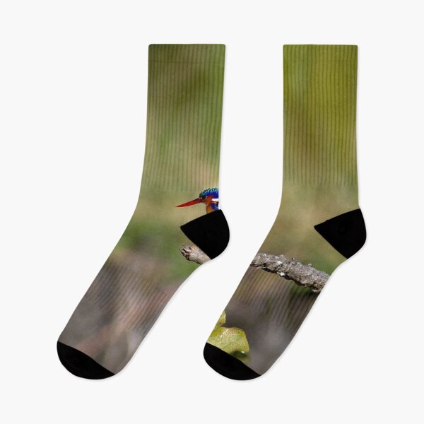 Item preview, African Kingfisher Colorful Bird Perched on Branch designed and sold by worldways.