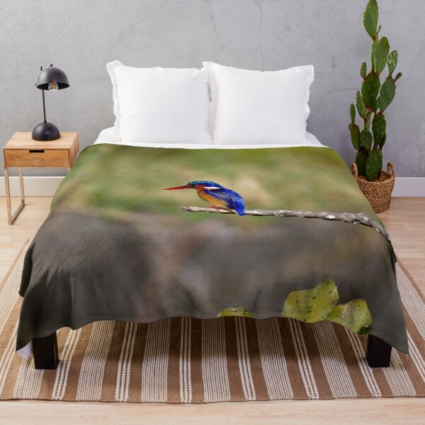 Item preview, African Kingfisher Colorful Bird Perched on Branch designed and sold by worldways.