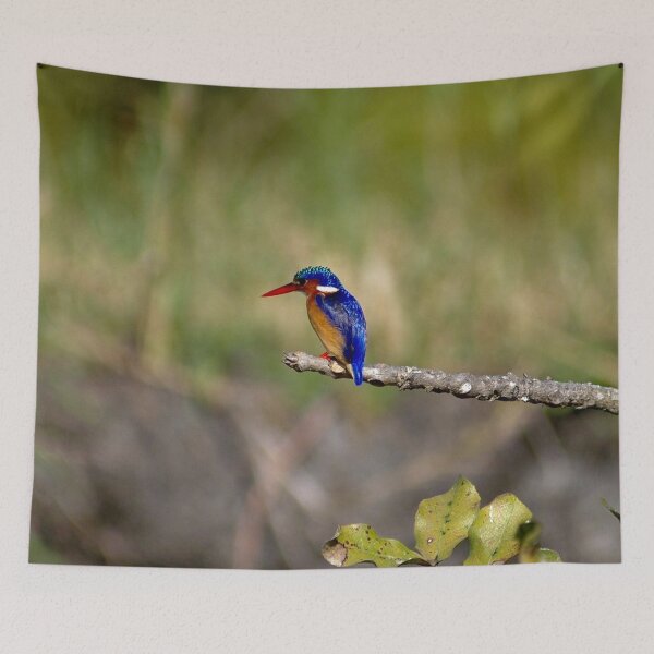 Item preview, African Kingfisher Colorful Bird Perched on Branch designed and sold by worldways.