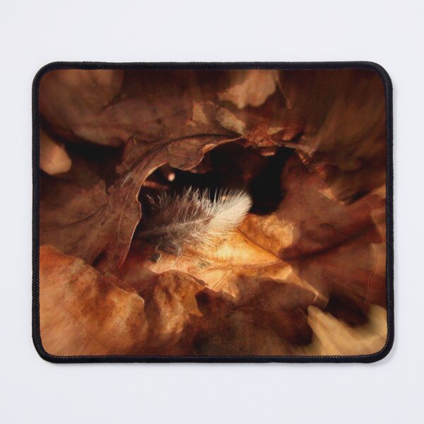 Item preview, white feather among brown leaves designed and sold by Francespoppy.