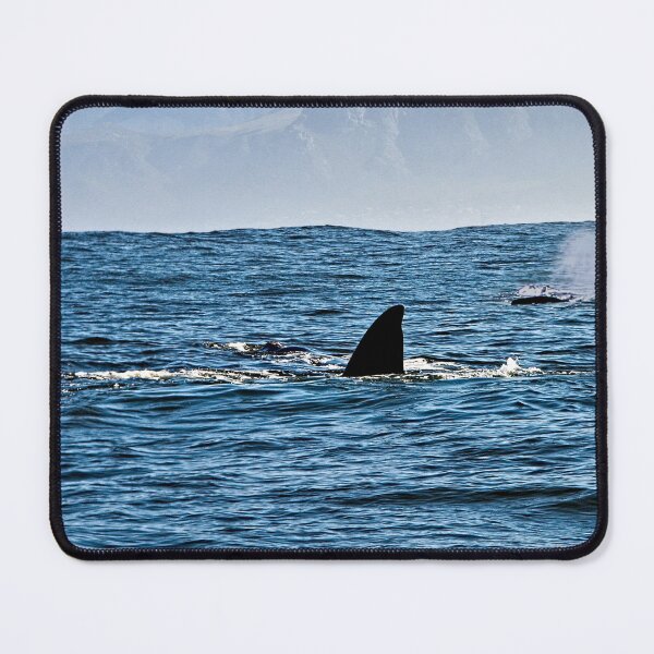 Item preview, Whales Orca Fin Seascape Mountains De Hoop Nature Reserve, South Africa designed and sold by worldways.