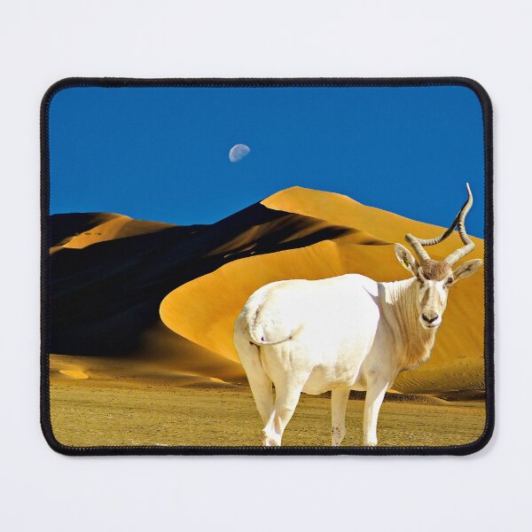 Item preview, Addax Antelope Sahara Desert Sand Dunes Moon designed and sold by worldways.