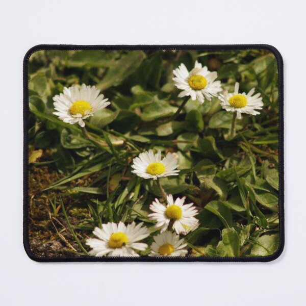 Item preview, daisies designed and sold by Francespoppy.