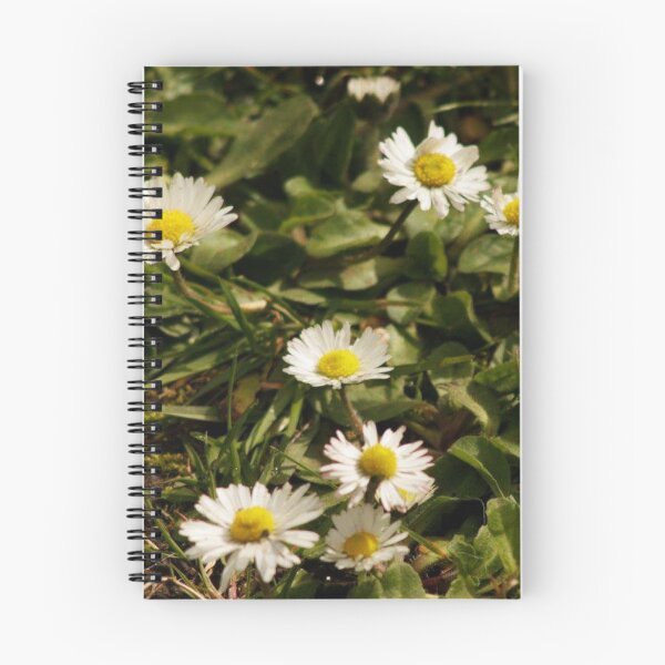 Item preview, daisies designed and sold by Francespoppy.