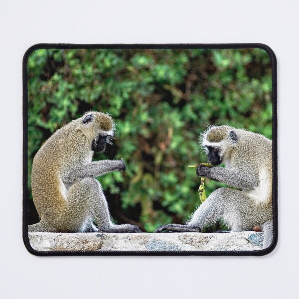 Item preview, Vervet Monkeys Eating Bananas designed and sold by worldways.