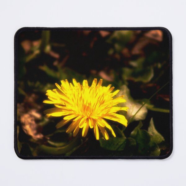 Item preview, yellow dandelion designed and sold by Francespoppy.
