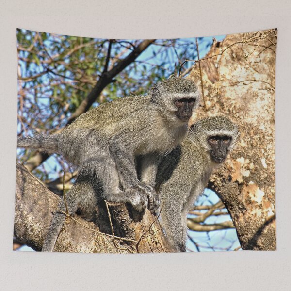 Item preview, Wild Vervet Monkeys on a Tree Branch designed and sold by worldways.