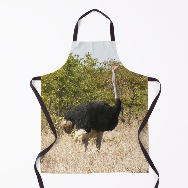 Item preview, Ostrich In the Wild, Kruger national park, South Africa designed and sold by worldways.