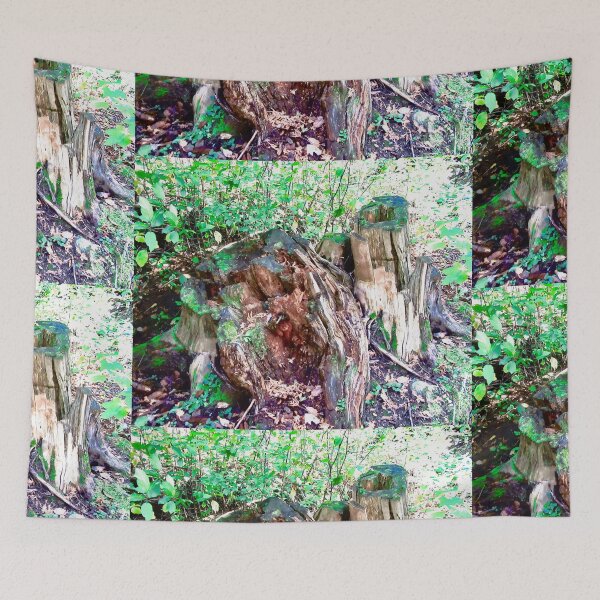 Item preview, Old Tree Stumps designed and sold by Shulie1.