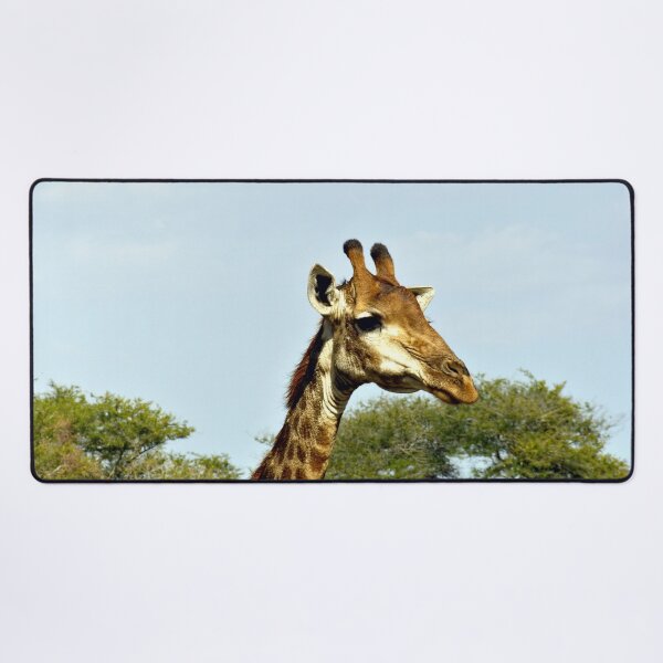 Item preview, Old Giraffe in the Wild portrait, Kruger national park, South Africa designed and sold by worldways.