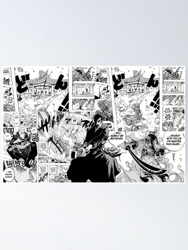manga cleaning — Zoro my number 1!