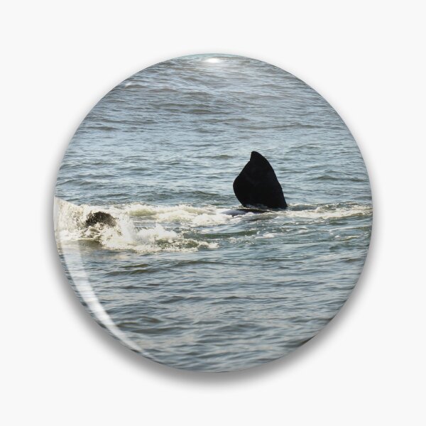 Artikelvorschau, Whale Playing Seascape entworfen und verkauft von worldways.