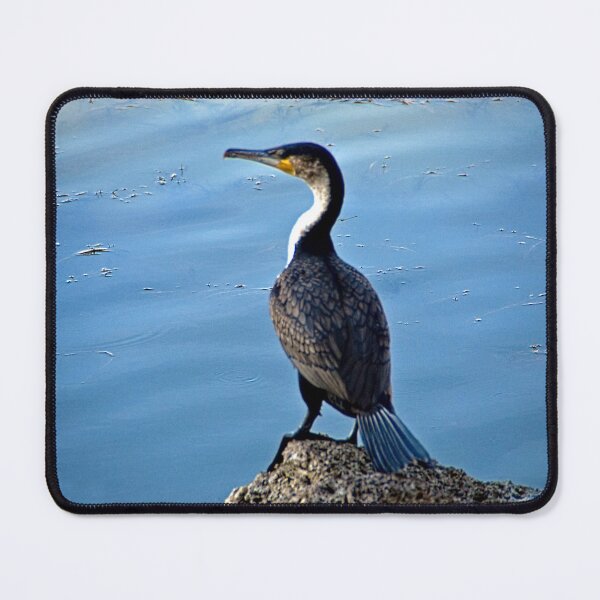 Item preview, Cormorant Bird Seashore Portrait designed and sold by worldways.