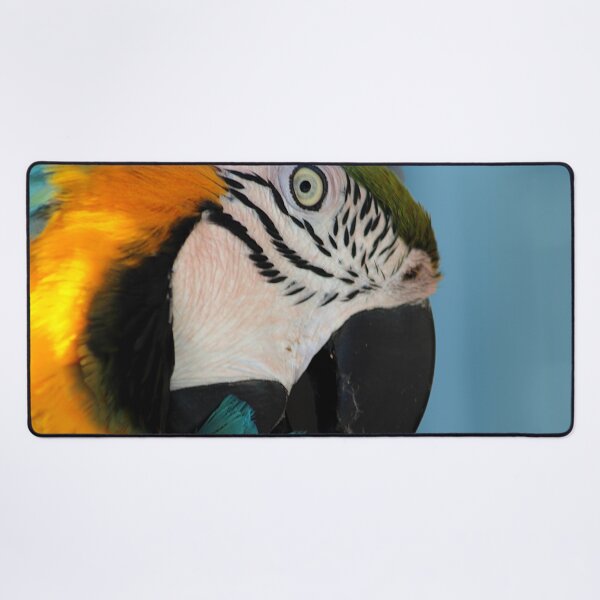 Item preview, Parrot Macaw Tropical Bird Portrait Closeup designed and sold by worldways.