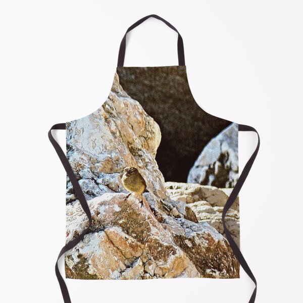 Item preview, Chiffchaff Micro Bird on Rocks Portrait designed and sold by worldways.