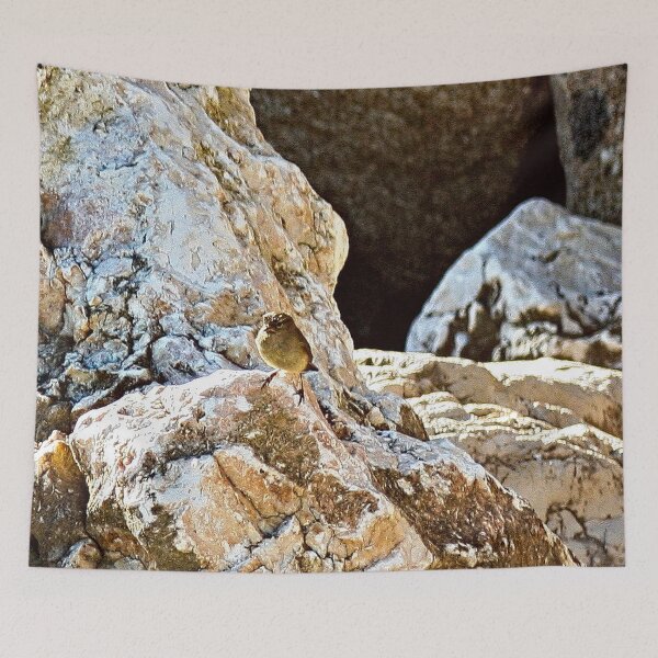 Item preview, Chiffchaff Micro Bird on Rocks Portrait designed and sold by worldways.