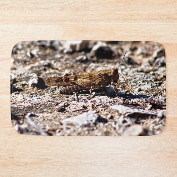 Artikelvorschau, Grasshopper Insect Bug Animal entworfen und verkauft von worldways.