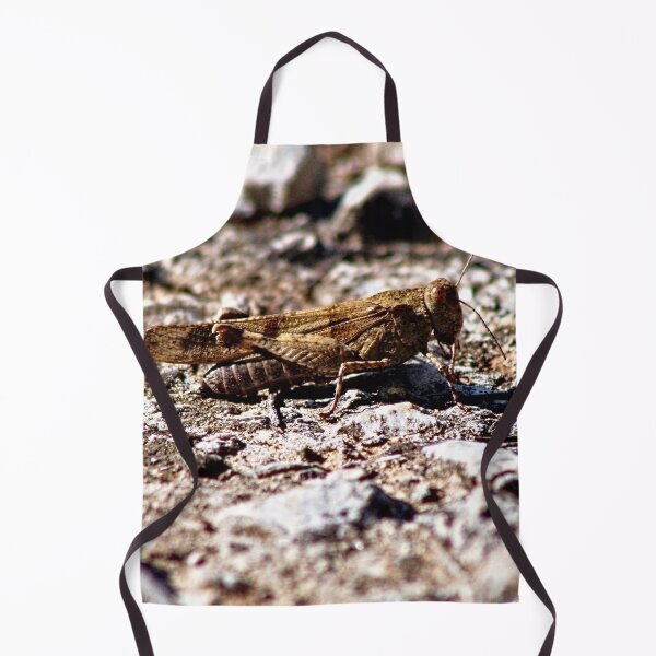 Item preview, Grasshopper Insect Bug Animal designed and sold by worldways.