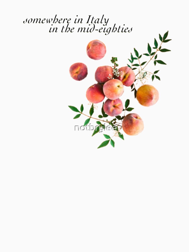 Call Me By Your Name - Inscription by notbrylee