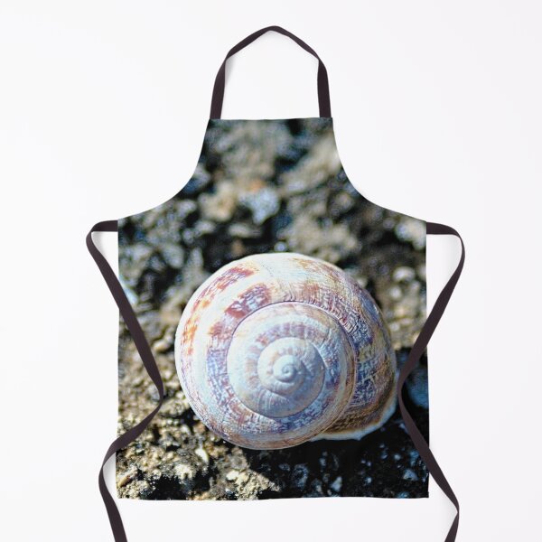 Item preview, Land Snail Shell Closeup designed and sold by worldways.